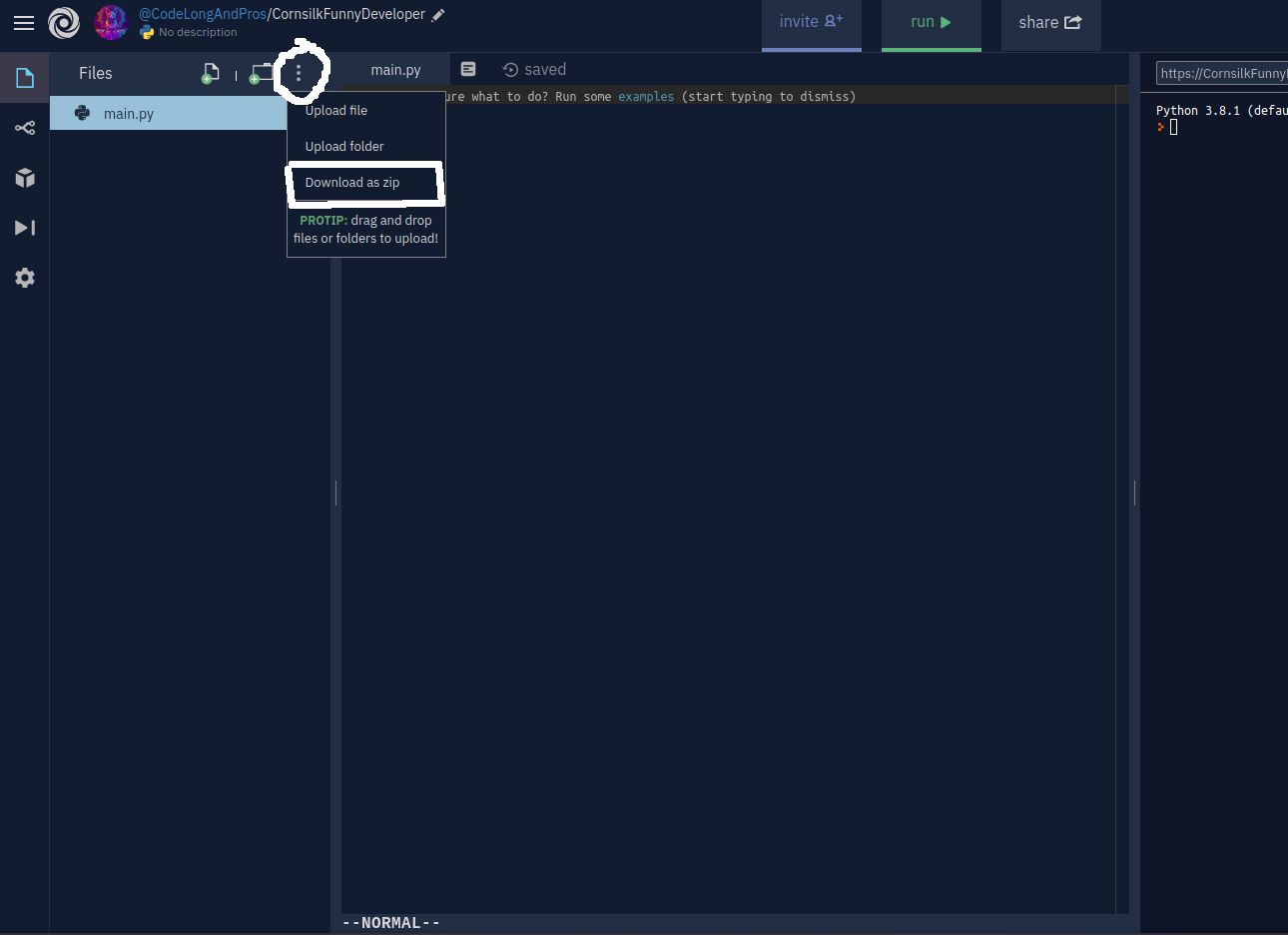 how do I save my work as a .py file in my files? Replit