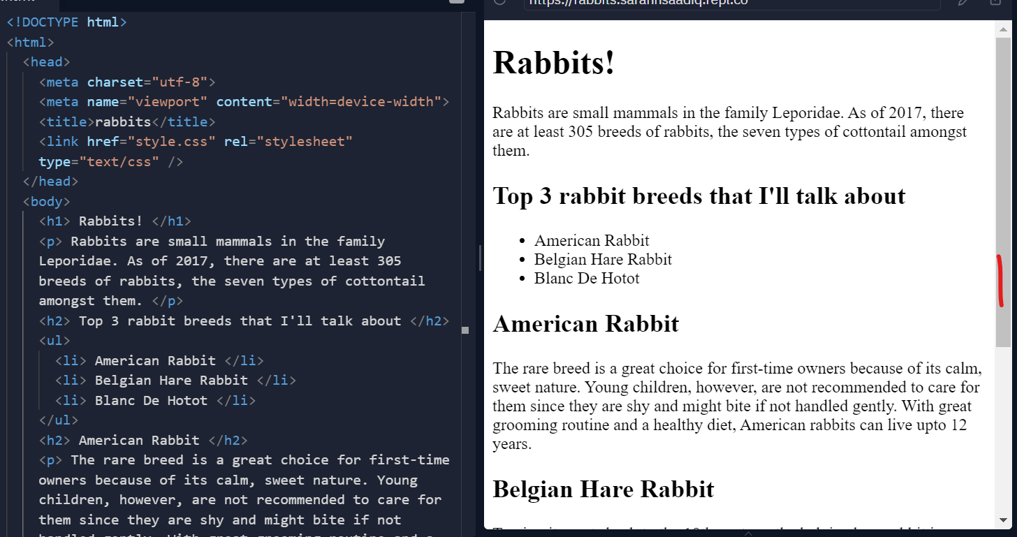rabbits body