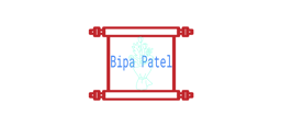 BipaPatel