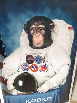 space-monkey