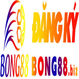 dangkybong88biz