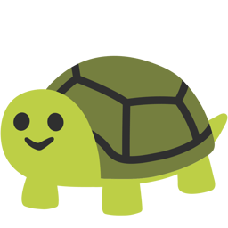 Turtle experiment