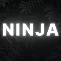 Ninjablade