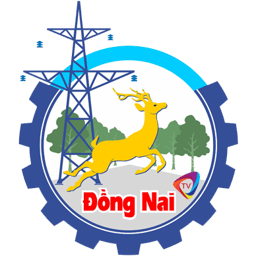 dongnaitv