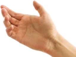 HexHands