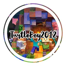 TurtleBoy2012