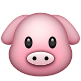 Pig Latin 🐷 