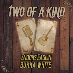 download-snooks-ea-two-of-a