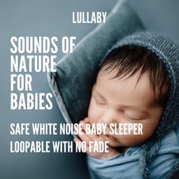 album-sounds-of-safe-white