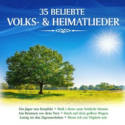 album-holger-ste-35-beliebt