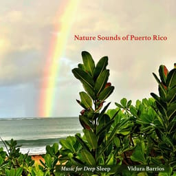 download-music-for-nature-so