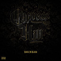 album-back-in-bl-cypress-hi