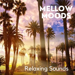 album-relaxing-p-mellow-moo