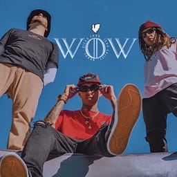 album-wow-feat-diego-thug
