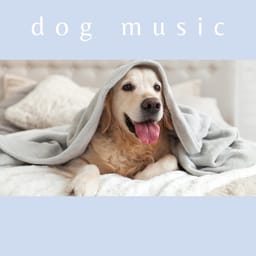 download-bedtime-m-dog-music