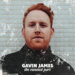 album-gavin-jame-the-sweete