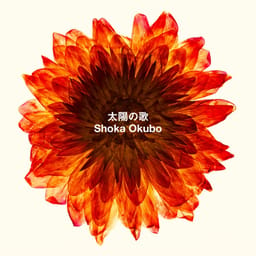 download-shoka-oku-sunshine