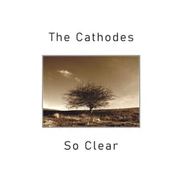 download-so-clear-the-catho