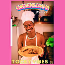 albumtockyvibechicken