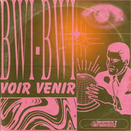 zip-bwi-bwi-voir-venir