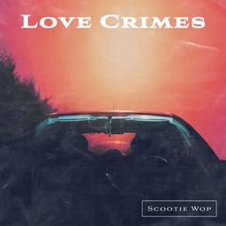 ziplovecrimescootiewo