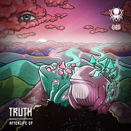 album-afterlife-truth