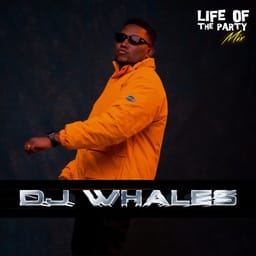 album-life-of-th-dj-whales