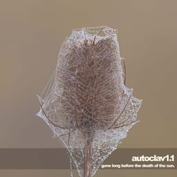 album-autoclav1-gone-long