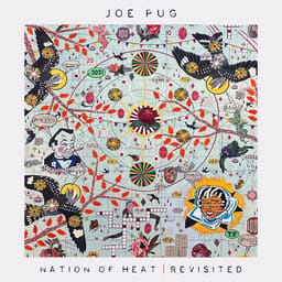 albumnationofjoepug