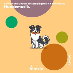 albumambiamusihundemusik