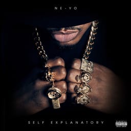 zip-ne-yo-self-expla