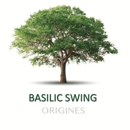 downloadoriginesbasilicsw