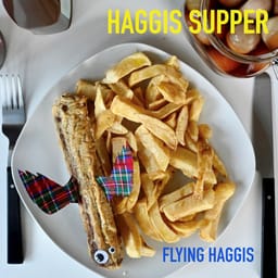 downloadhaggissupflyinghag