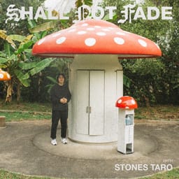 albumstonestarshallnot