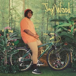 albumslingshotjaywood