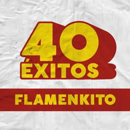 album-40-exitos-various-ar