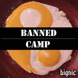 download-bignic-banned-ca