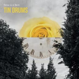 album-time-is-a-tin-drums