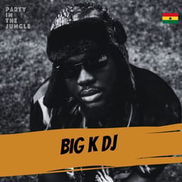 albumbigkdjpartyint