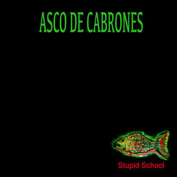 zip-asco-de-ca-stupid-sch