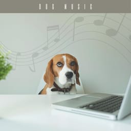 zip-dog-music-calming-mu