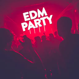 download-various-a-edm-party