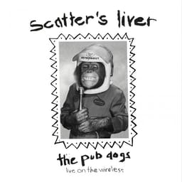 zip-the-pub-do-scatter-s