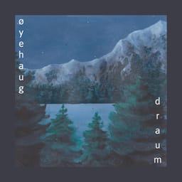 album-draum-oyehaug