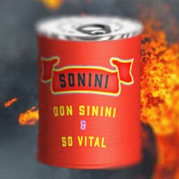 download-sonini-don-sinin