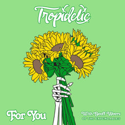 download-for-you-tropideli