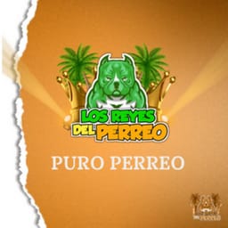 download-puro-perr-losreyesd