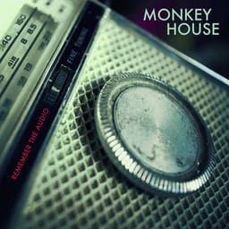 download-remember-monkey-ho