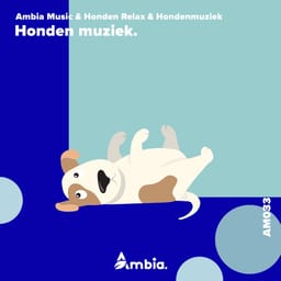 album-honden-muz-ambia-musi