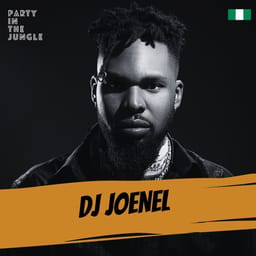 albumpartyintdjjoenel